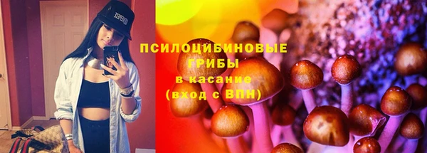 герыч Алексин