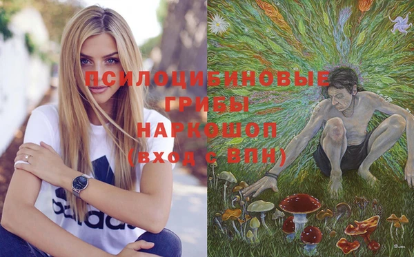 винт Алексеевка