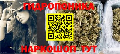 не бодяженный Камышлов