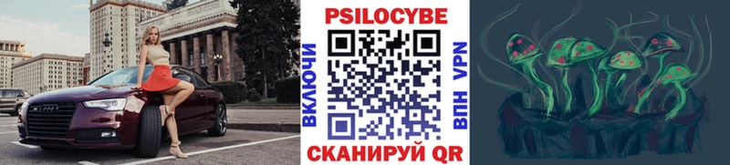 купить закладку  Сосновый Бор  Псилоцибиновые грибы Magic Shrooms 