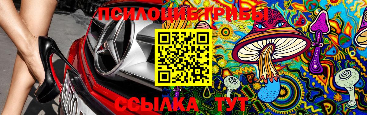 Галлюциногенные грибы MAGIC MUSHROOMS  Галлюциногенные грибы MAGIC MUSHROOMS  Сосновый Бор  Вход с VPN 